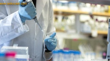 Korkunç ‘Korona’ İddiası