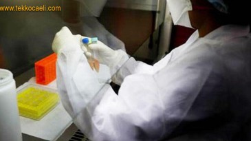 Veriler Ürkütüyor; 1549 Yeni Vaka