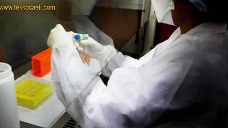 Veriler Ürkütüyor; 1549 Yeni Vaka