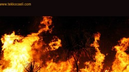 Kocaeli’de Fabrika Alev Alev