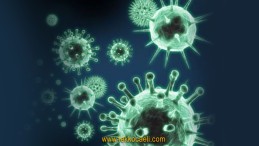 Can Sıkıcı Açıklama; Yasakların Ayak Sesleri