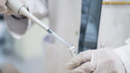 Durum Ciddi, Tedbirde Birliğe İhtiyaç Var