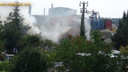 Fabrikada Korkutan Yangın