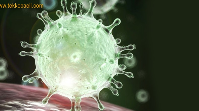 Vaka Sayısındaki Artışı Açıkladı ve Uyardı