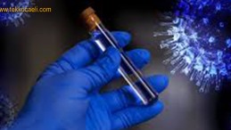 Korona İle İlgili Şok İddia