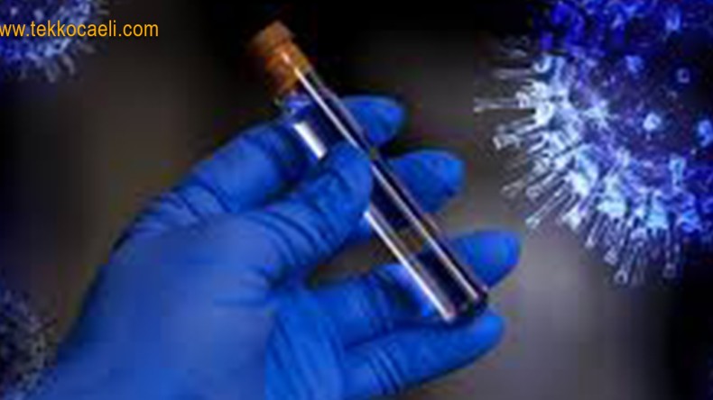 Korona İle İlgili Şok İddia