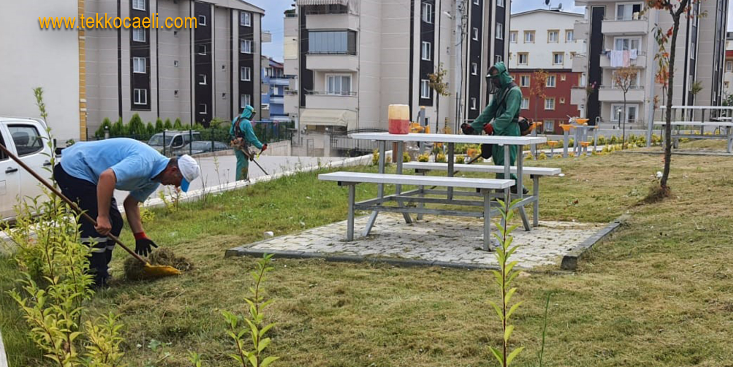 İzmit Belediyesi Park Bakım Çalışmalarına Ara vermiyor