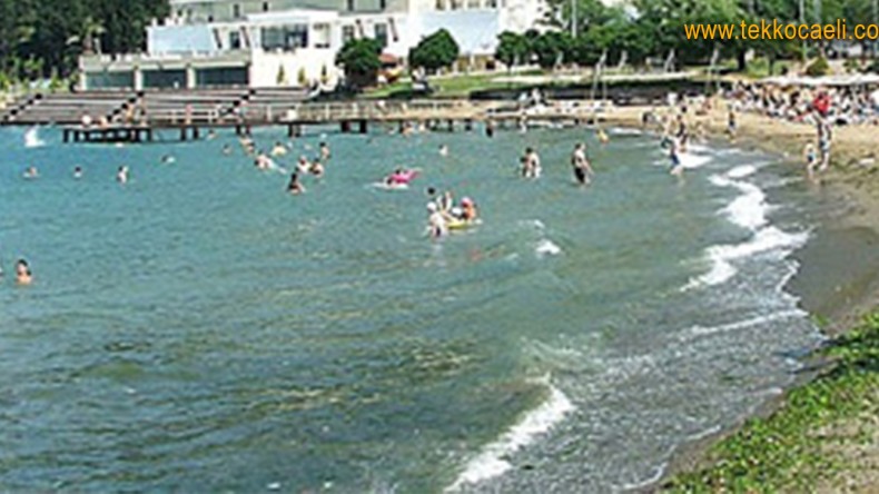 Emekli Öğretmen, Karamürsel Sahilinde Can Verdi