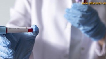 Bu Tablo Ürkütüyor; Herkes Dikkat Etmeli