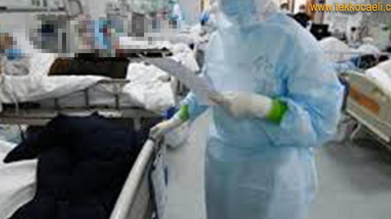 Vakalardaki Artış Korkutuyor; İşte Son Veriler