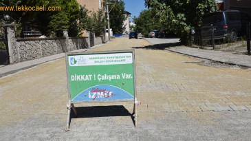 Yenişehir, Gül Sokak Gülümsedi