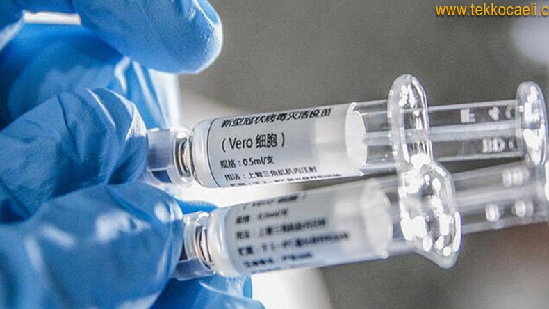 Korona Aşısı KOÜ Tıp Fakültesinde Denendi