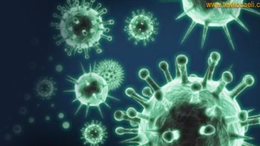 Yine Kötü Haber Geldi; Dikkatli Olun!