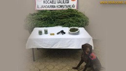 Kartepe Suadiye’de Uyuşturucu Operasyonu