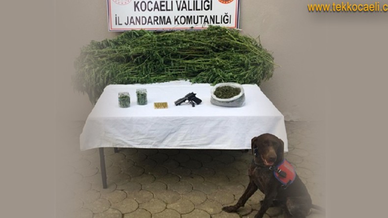 Kartepe Suadiye’de Uyuşturucu Operasyonu