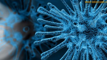 Kötü Haber Geldi; Durum Çok Fena