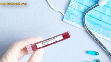 Virüste Korkutan Artış Devam Ediyor