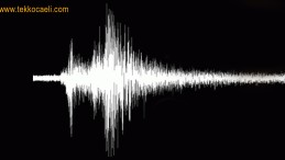 Korkutan Marmara Depremi Açıklaması