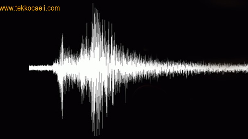 Korkutan Marmara Depremi Açıklaması