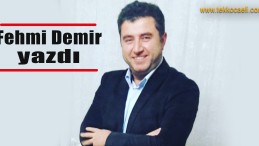 Ak Parti’nin Eğitim ve Kültür Politikaları Üzerine Bir Yorum