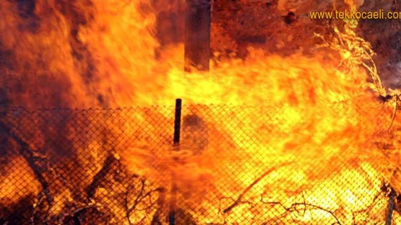 Alevler İçinde Kalan Şahıs Can Verdi