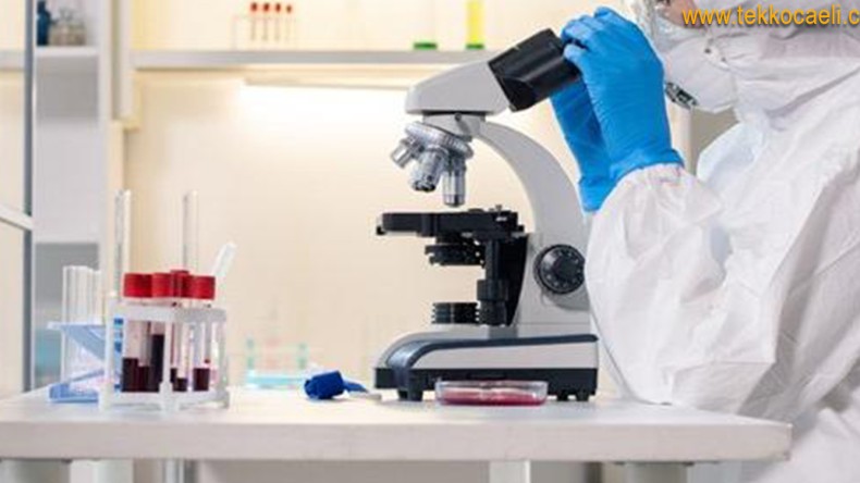 Vaka Sayıları Arttıkça Artıyor