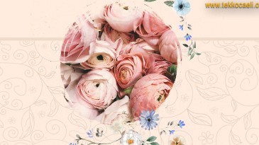 Bu Festivale Tüm İzmitliler Davetli