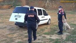 Ormanda Kestane Toplamaya Gitti, Kayboldu