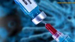 Koronavirüs’ün Tek Çözüm Yolunu Açıkladı