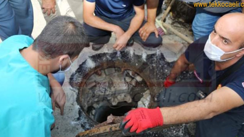 Kanalizasyonda Mahsur Kalan Köpek Böyle Kurtarıldı