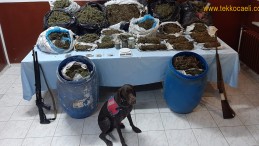 İzmit Mecidiye’de 61 KG. Esrar Ele Geçirildi