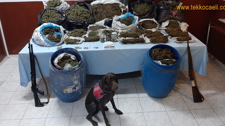 İzmit Mecidiye’de 61 KG. Esrar Ele Geçirildi