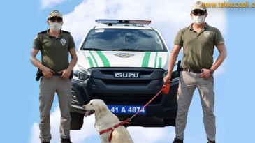 Doğayı ve Hayvanları Korumak İçin ‘HAYDİ’ Başladı