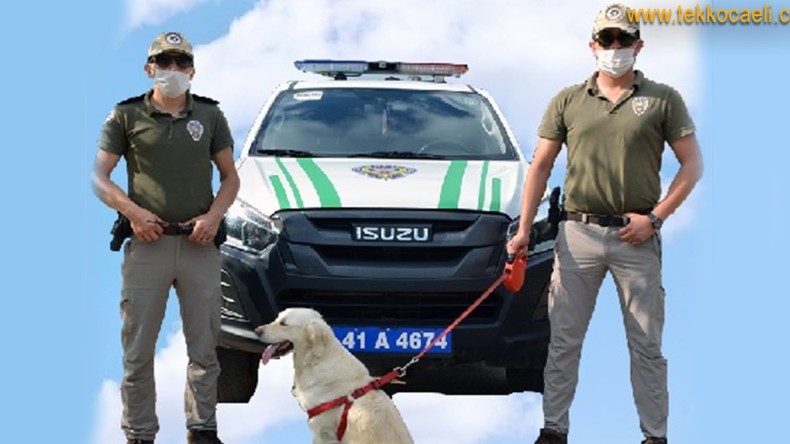 Doğayı ve Hayvanları Korumak İçin ‘HAYDİ’ Başladı