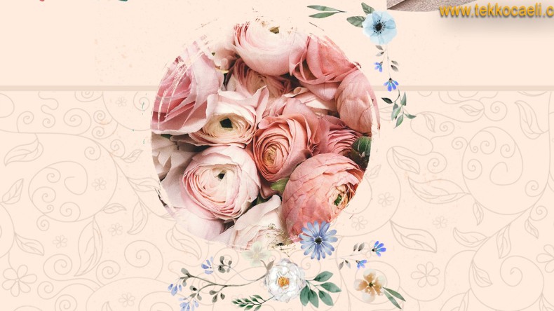 Gültepe’de 1. Gül Festivali Heyecanı