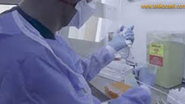 Korona Verilerinde Korkunç Artış Devam Ediyor