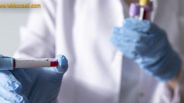 Koronavirüs Verileri Açıklandı; İşte Son Rakamlar