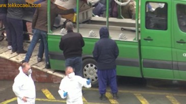 Ürkütücü Gelişme; Kayıplarımız Artıyor