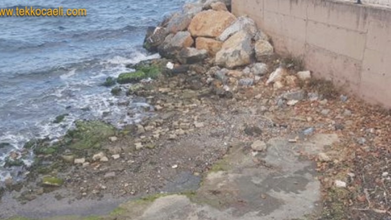 Karamürsel Sahilinde Ceset Bulundu