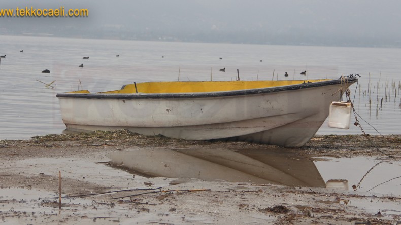 Sapanca Gölünde Şok Görüntüler