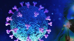 Korkulan Olmadı; Bu İçimizi Rahatlatacak