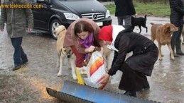 Sahte Hayvanseverlere Ders Verdi; Yasayı neden Çıkarmıyorsunuz?