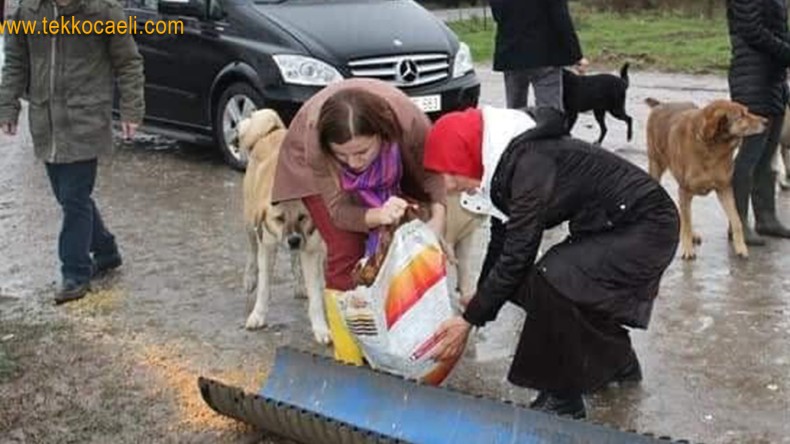 Sahte Hayvanseverlere Ders Verdi; Yasayı neden Çıkarmıyorsunuz?