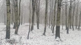 Kartepe’den Kar Müjdesi! Beyaza Büründü