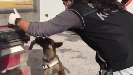 TIR’dan 12 KG. Esrar Çıktı