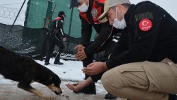 Kocaeli Polisi Sokak Dostlarını Unutmadı