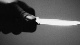 Vahşet; Anne ve Ağabeyini Öldürdü