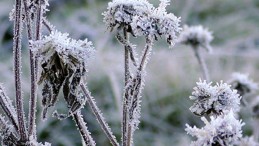 Bu Uyarıya Kulak Verin; Dikkat!