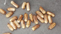 İran Uyruklu 3 Kişi Uyuşturucuyla Yakalandı