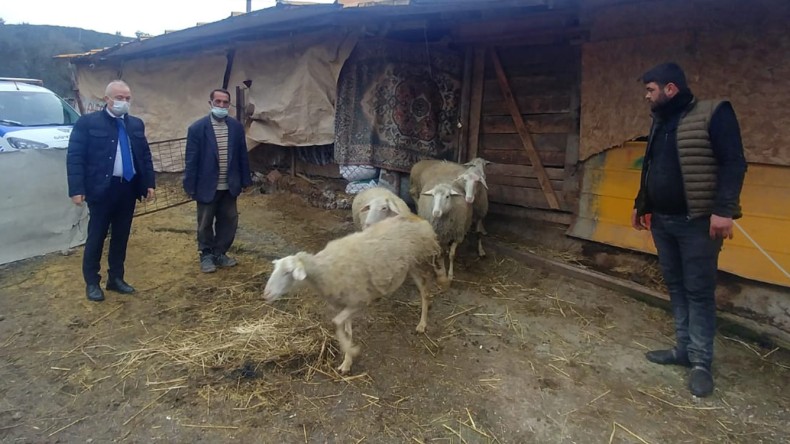 Yaşadığı Yer Yandı, Yardımına İzmit Belediyesi Koştu
